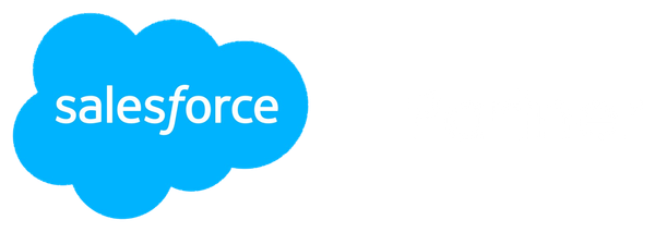 Salesforce Partner