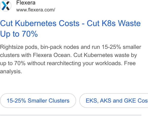Flexera Google ad: 