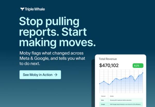 Triple Whale Google ad: Display image ad