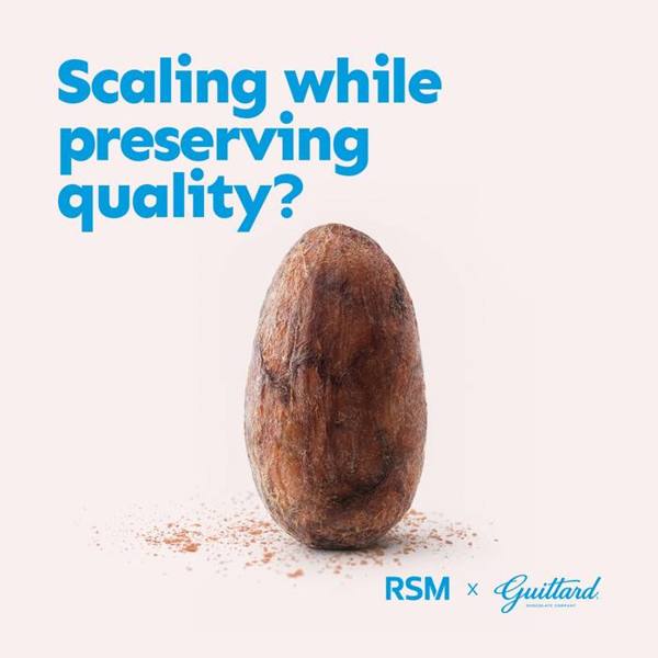 RSM US LLP LinkedIn ad: 