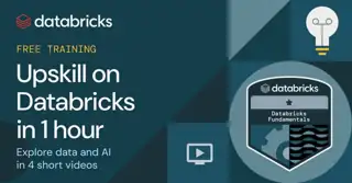 Databricks Meta ad: Flexible (several images)