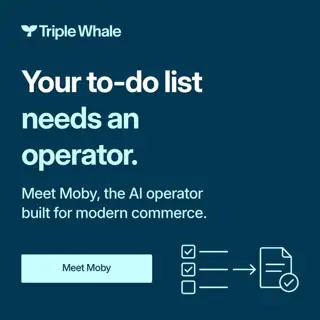 Triple Whale Meta ad: Meet your ecommerce AI operator