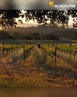 BlackLine Meta ad: Accelerating Financial Operations: Treasury Wine Estates’ Success with BlackLine