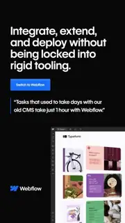 Webflow Meta ad: