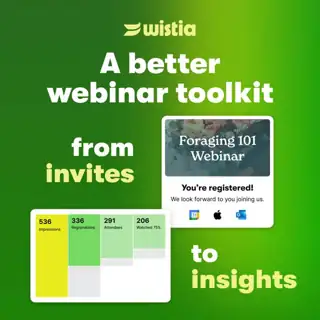 Wistia Meta ad: Webinars made simple.