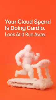 CloudZero Meta ad: Flexible (several images)