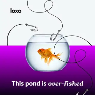 Loxo Meta ad: Diversify your talent pool