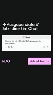 Pleo Meta ad: Pleo direkt in Ihren KI-Tools nutzen