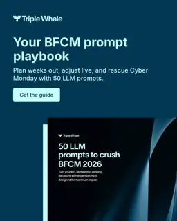 Triple Whale Meta ad: Your BFCM prompt playbook