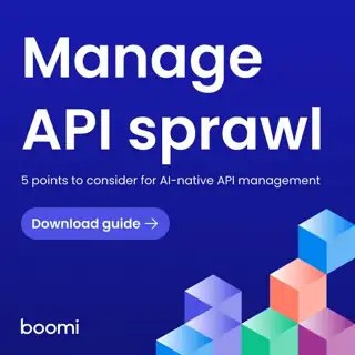Boomi Meta ad: AI's Best-Kept Secrets: A Guide to Mastering APIs