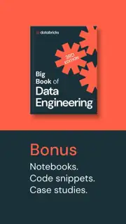 Databricks Meta ad: Flexible (several images)