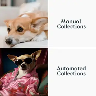 Tesorio Meta ad: The routine does itself