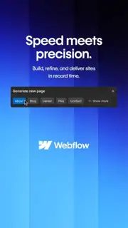 Webflow Meta ad: Flexible (several images)