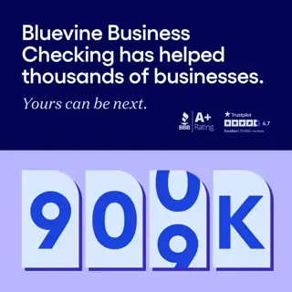 Bluevine Meta ad: Checking built for business owners