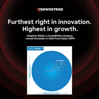 CrowdStrike Meta ad: The 2024 Frost Radar™ Leader