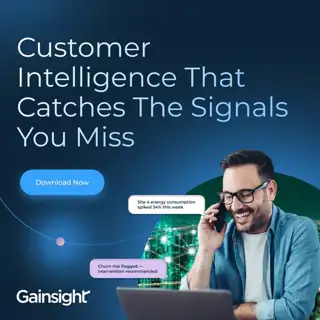 Gainsight Meta ad: An Executive’s Guide to Preventing Churn