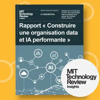 Databricks Meta ad: MIT Technology Review | Rapport